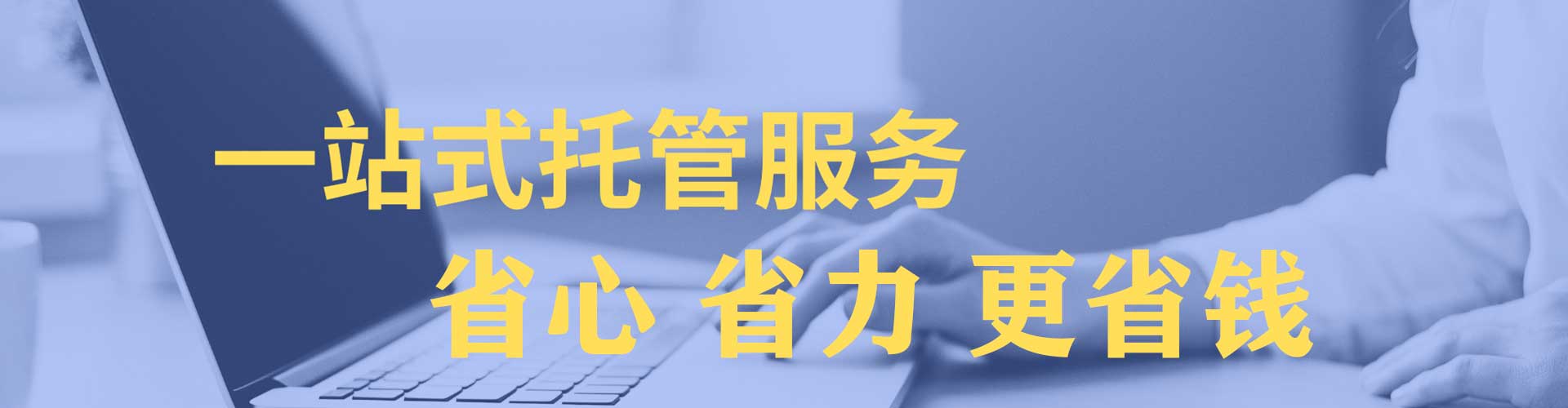 阿莲百度竞价运营